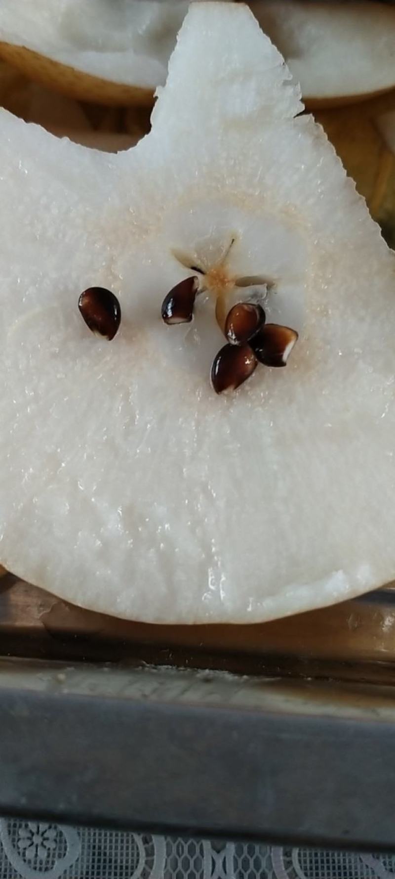 精品秋月梨，货源充足，产地直发，品质保证，欢迎客商来电咨询