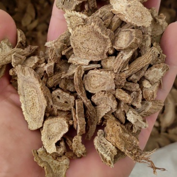 木香云木香鲁舜泽中药材商行山东菏泽发货