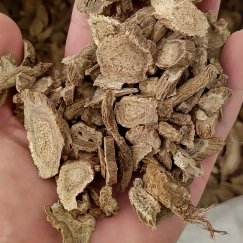 木香云木香鲁舜泽中药材商行山东菏泽发货