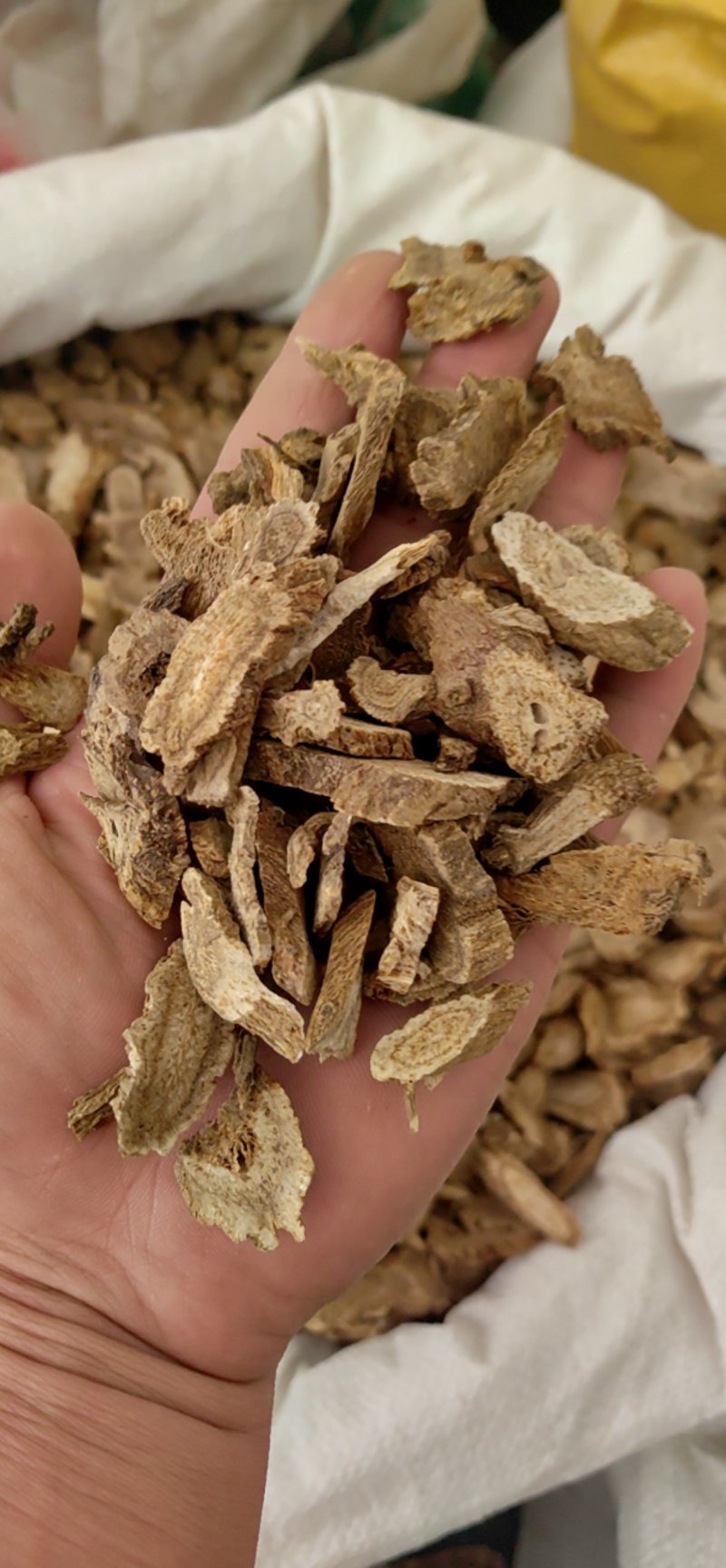 木香云木香鲁舜泽中药材商行山东菏泽发货