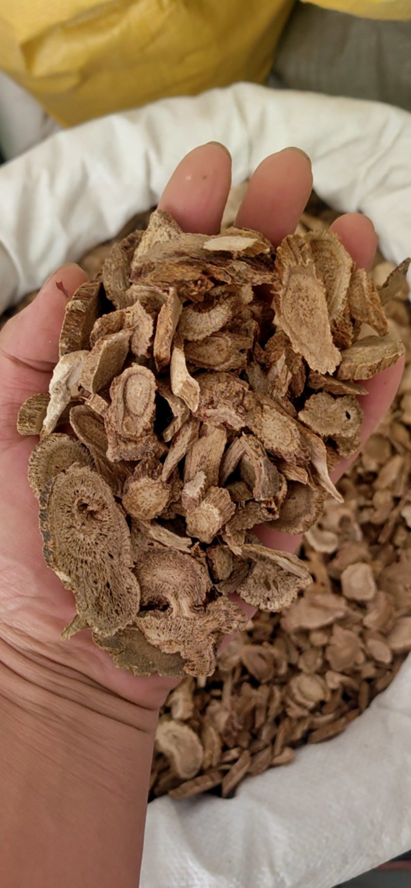 木香云木香鲁舜泽中药材商行山东菏泽发货