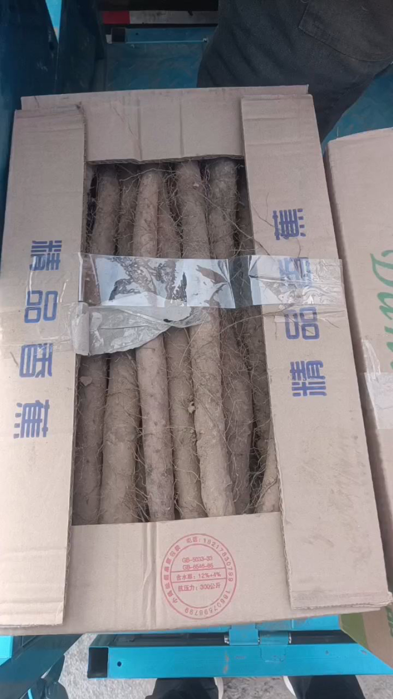 精品电商货麻山药，白玉山药，双棒山药小白嘴紫药网袋货