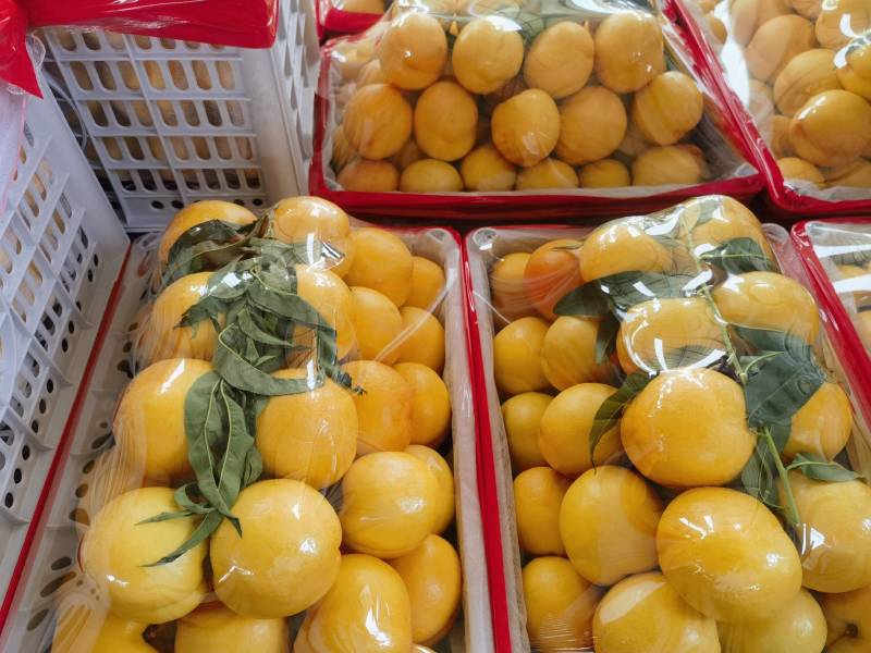 大连黄金蜜油桃