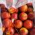 大连油桃大量上市黄心油桃保质保量只做回头客代发全国