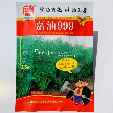 矮油**嘉油999油菜种子又矮又胖半冬性杂交油菜种籽
