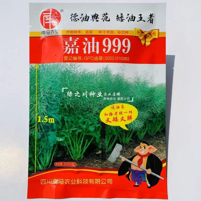 矮油**嘉油999油菜种子又矮又胖半冬性杂交油菜种籽
