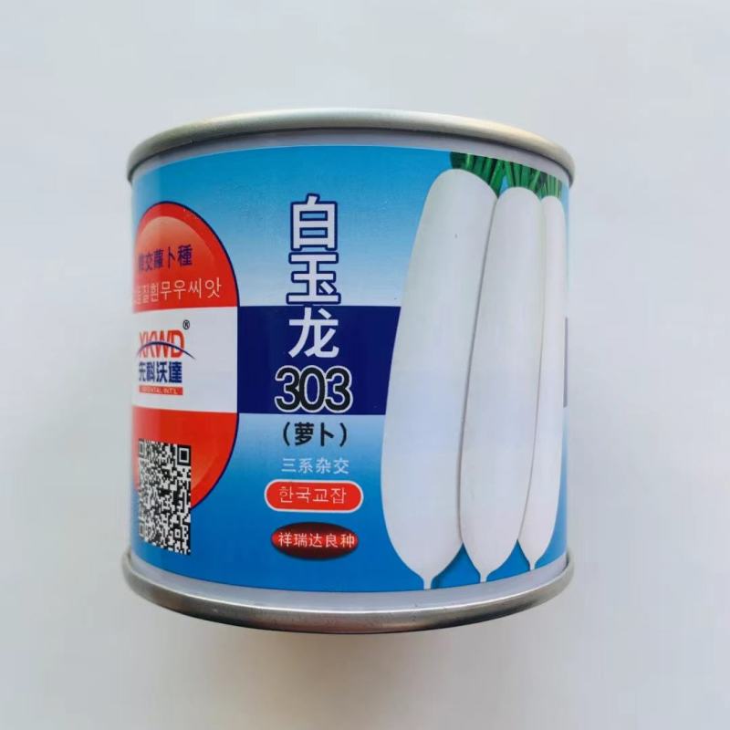 白玉龙萝卜种子杂交一代白萝卜种子产量高商品性好耐贮运性好