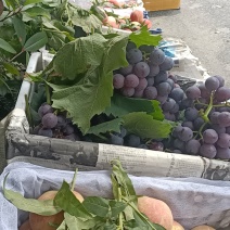 江哥水果批发市场。