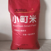 小町米25kg