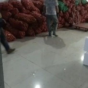 大量次果工厂果
