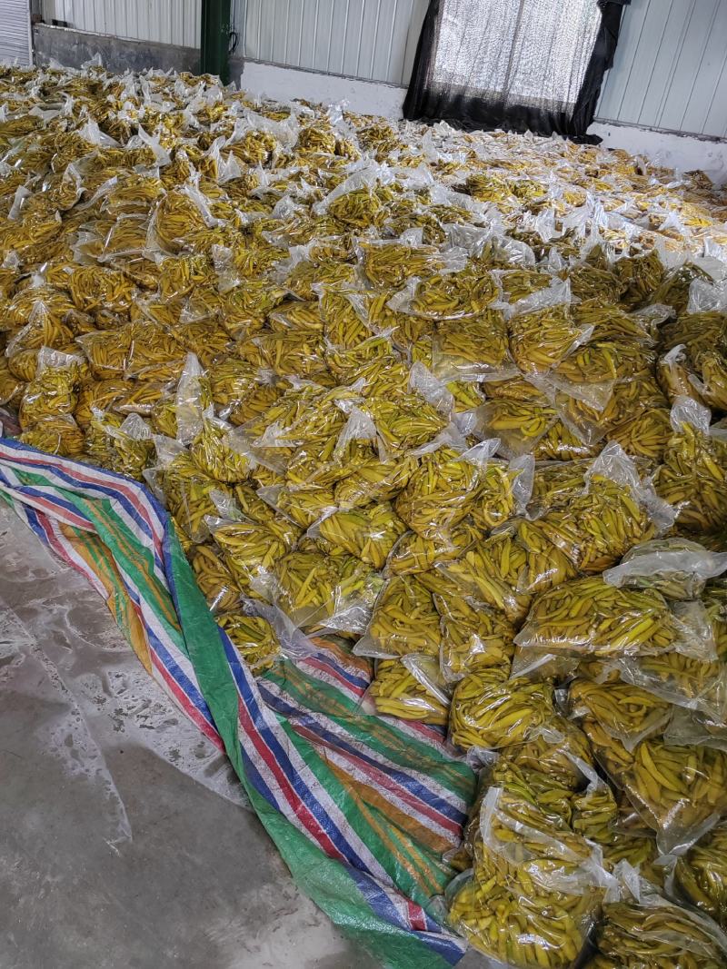 腌制辣椒泡椒青杭椒红辣椒小米椒卜辣椒酱辣椒晒辣椒