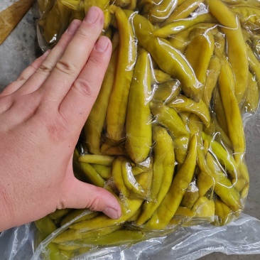 腌制辣椒泡椒青杭椒红辣椒小米椒卜辣椒酱辣椒晒辣椒