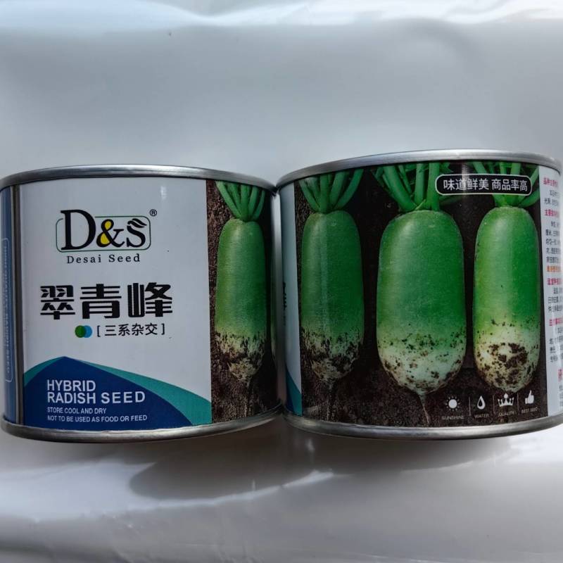 三系杂交青萝卜种子翠青峰绿皮绿肉两头挺圆柱超791罐萝卜