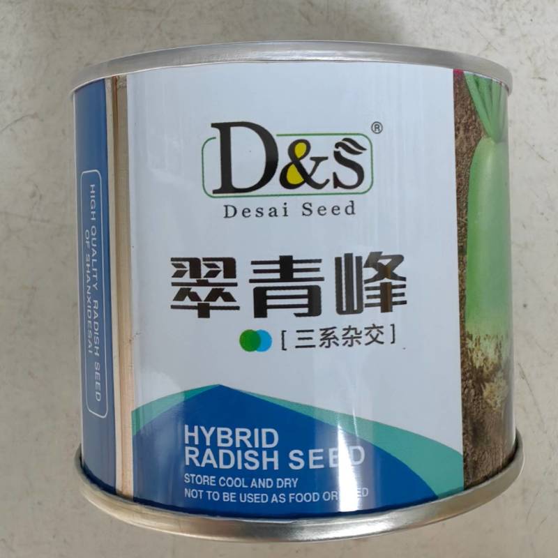 三系杂交青萝卜种子翠青峰绿皮绿肉两头挺圆柱超791罐萝卜