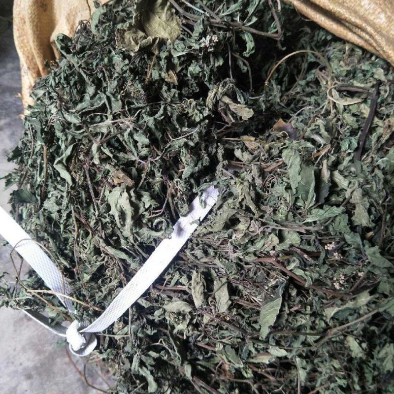 野生绞股蓝中药材七叶草绞股蓝七叶胆中草药绞股蓝草500克