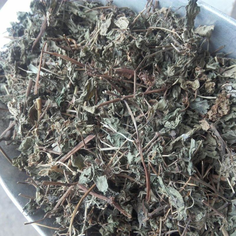 野生绞股蓝中药材七叶草绞股蓝七叶胆中草药绞股蓝草500克