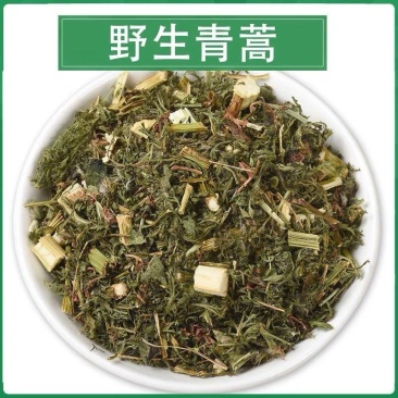 野生青蒿青蒿草中药材新鲜批发价青蒿粉桐臭蒿苦蒿草蒿黄