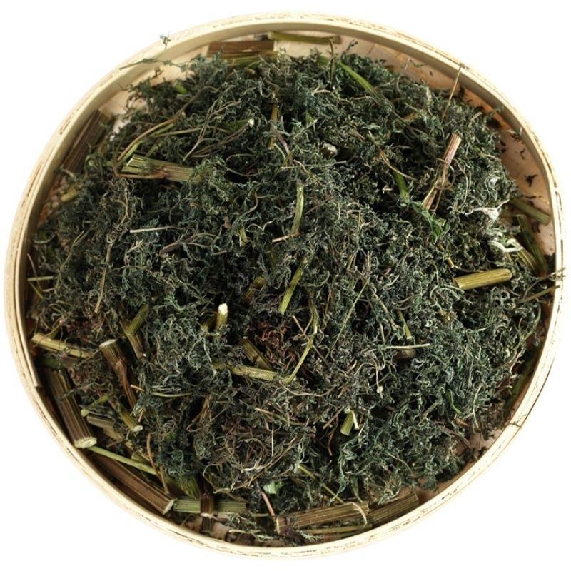 野生青蒿青蒿草中药材新鲜批发价青蒿粉桐臭蒿苦蒿草蒿黄