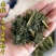 野生青蒿青蒿草中药材新鲜批发价青蒿粉桐臭蒿苦蒿草蒿黄