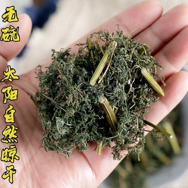 野生青蒿青蒿草中药材新鲜批发价青蒿粉桐臭蒿苦蒿草蒿黄