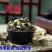 野生青蒿青蒿草中药材新鲜批发价青蒿粉桐臭蒿苦蒿草蒿黄