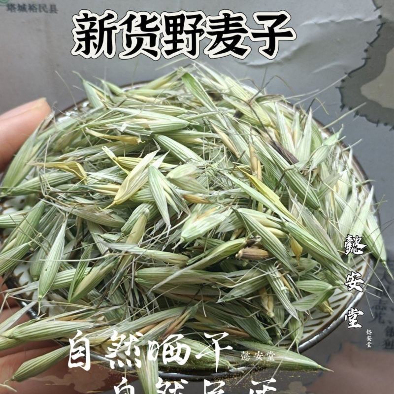 燕麦草中药材野麦子壳燕麦穗野麦草乌麦野浮小麦壳雀麦正宗