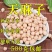 云南正品天麻籽大粒天麻子天麻豆野生长寿豆鹰嘴豆新货天麻籽