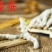僵蚕中药材白僵蚕干净无杂真材实料品质保证包邮