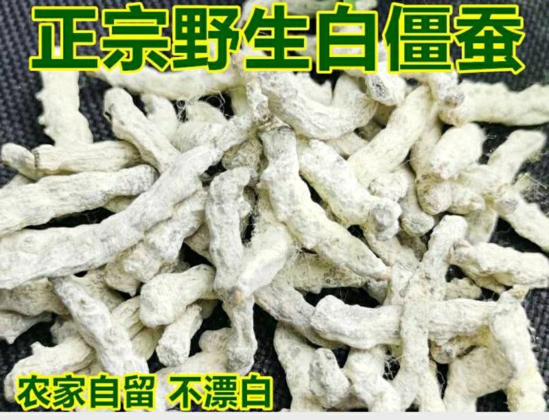 僵蚕中药材白僵蚕干净无杂真材实料品质保证包邮
