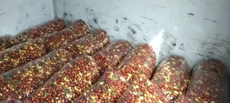 天津万亩马牙枣大量上市，欢迎各位老板前来洽谈