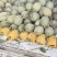 西州蜜17号小蜜25大量上市