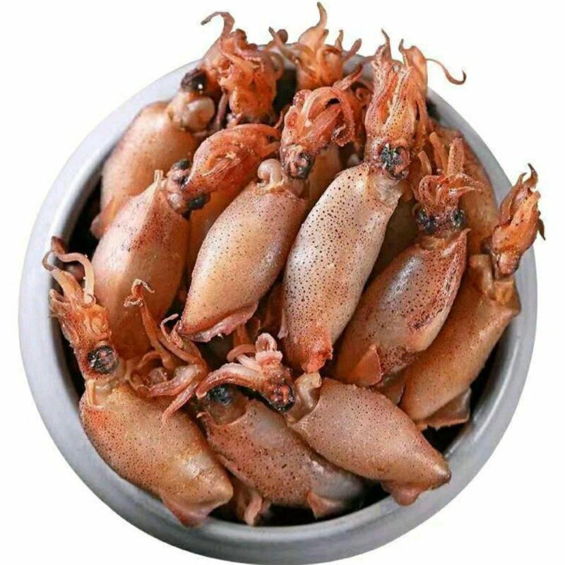 海兔干带籽海兔干原汁原味健康营养美味保质保量包邮