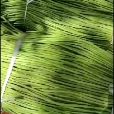 豇豆
