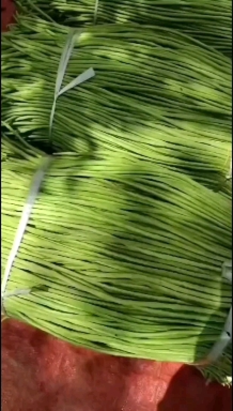 豇豆