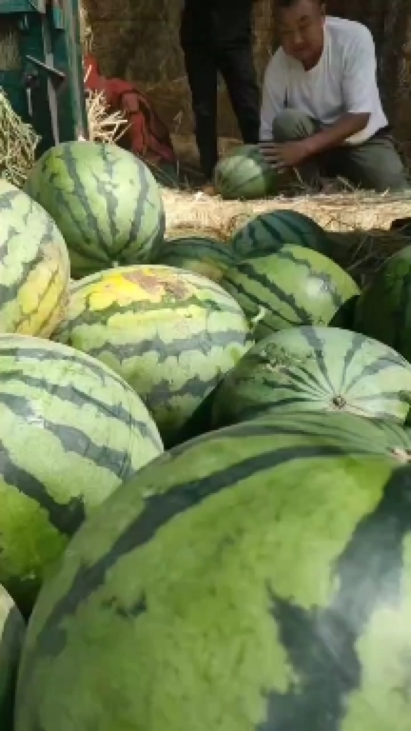 庆红999西瓜吉林西瓜产地直发一手货源欢迎来电