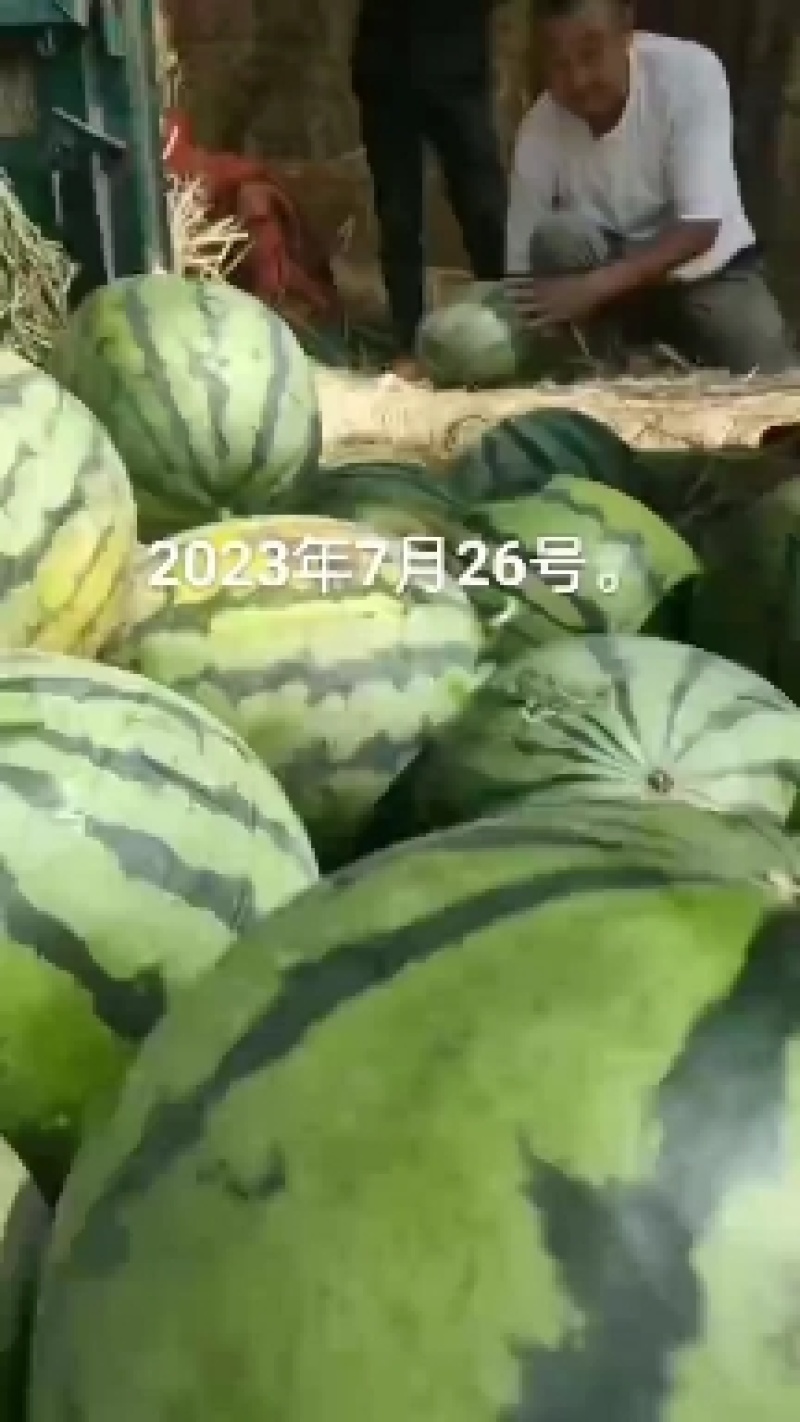 庆红999西瓜吉林西瓜产地直发一手货源欢迎来电
