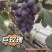 精品巨玫瑰，口感好保卖回头客欢迎大家来园看货，清棚