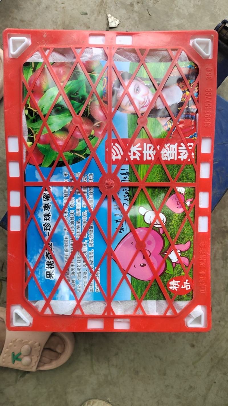 珍珠枣油桃大量上市，果面干净，口感脆甜，颜色好，要的联系