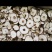 无硫雪梨干，产地供货，支持全国发货，量大从优。