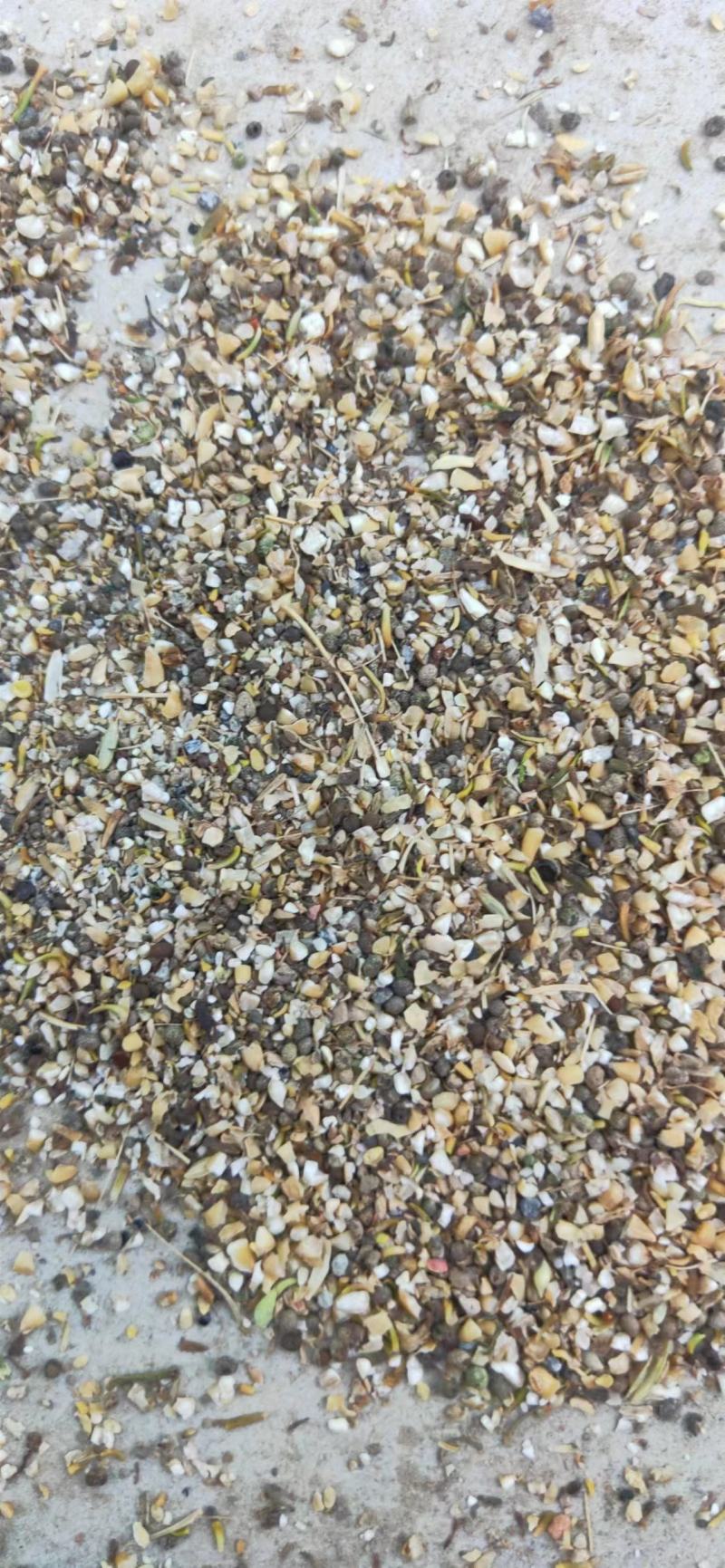 碎小麦