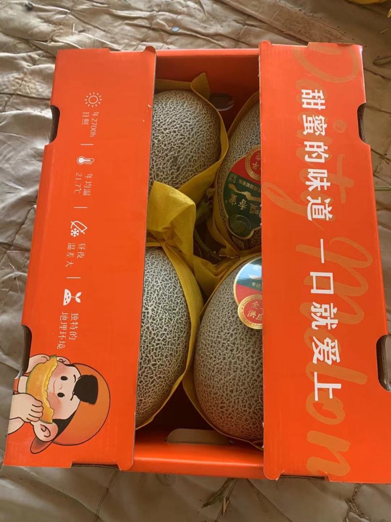 海南25号小蜜，民勤蜜瓜，所有哈密瓜品类，社区团购，市场