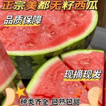 河南711西瓜-现摘现发-种类齐全-诚信经营一手货源