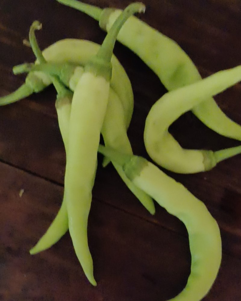 嫩白辣椒