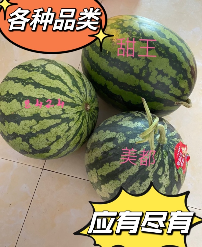 河南711西瓜-现摘现发-种类齐全-诚信经营一手货源
