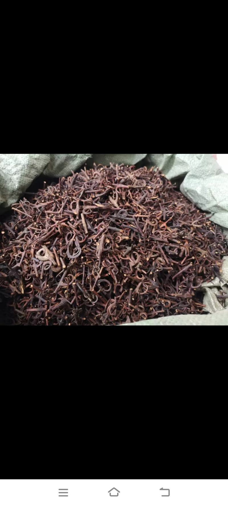 钩藤，双钩藤，产地一手货源，实拍，现货，24小时内发货