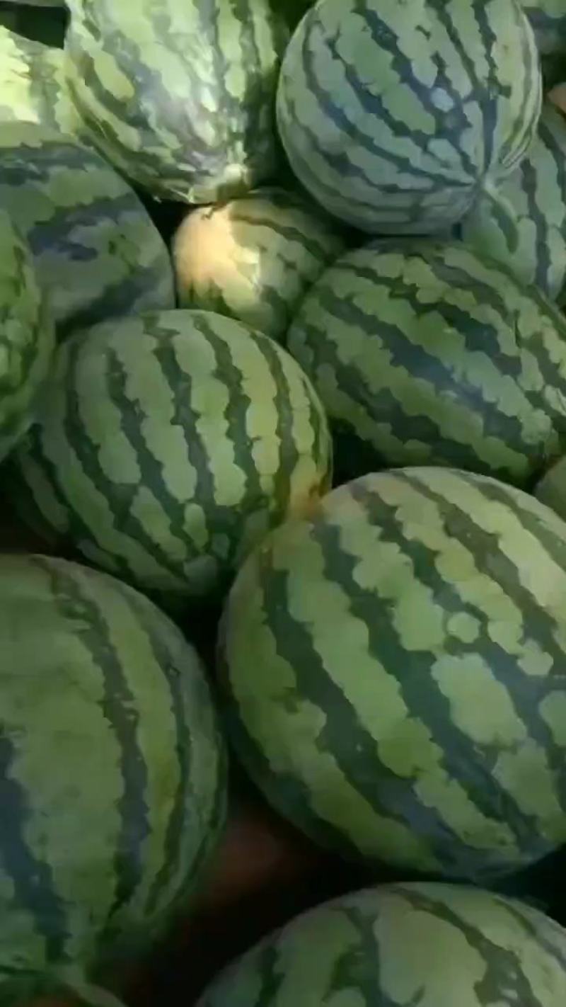 【实力】甘肃宁夏西瓜，美都西瓜，产地直发可视频看货