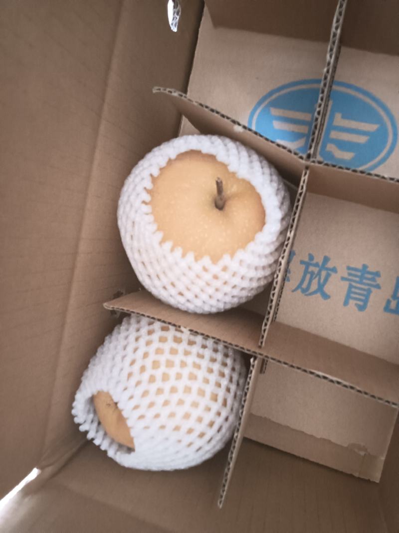 黄花梨产地一手货源，现摘现发大量有货欢迎来电订购