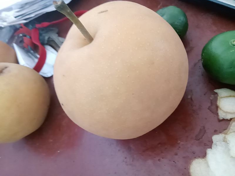 黄花梨产地一手货源，现摘现发大量有货欢迎来电订购
