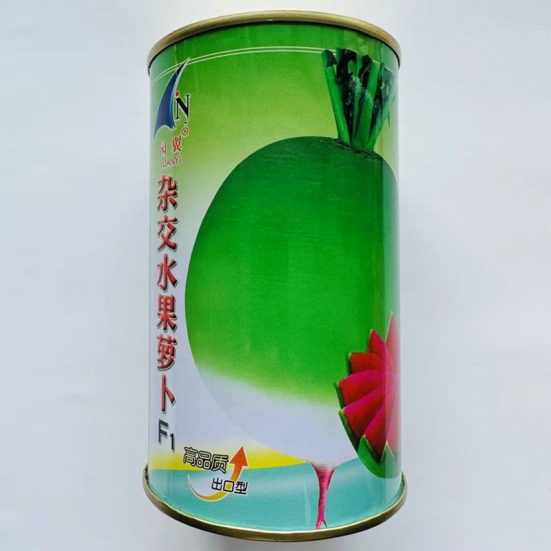 杂交水果型萝卜种子红心萝卜种子抗病性好，口感好，耐贮耐运