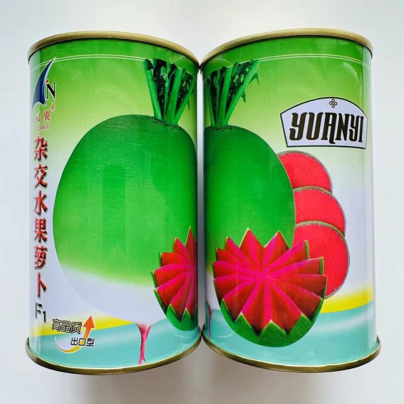 杂交水果型萝卜种子红心萝卜种子抗病性好，口感好，耐贮耐运